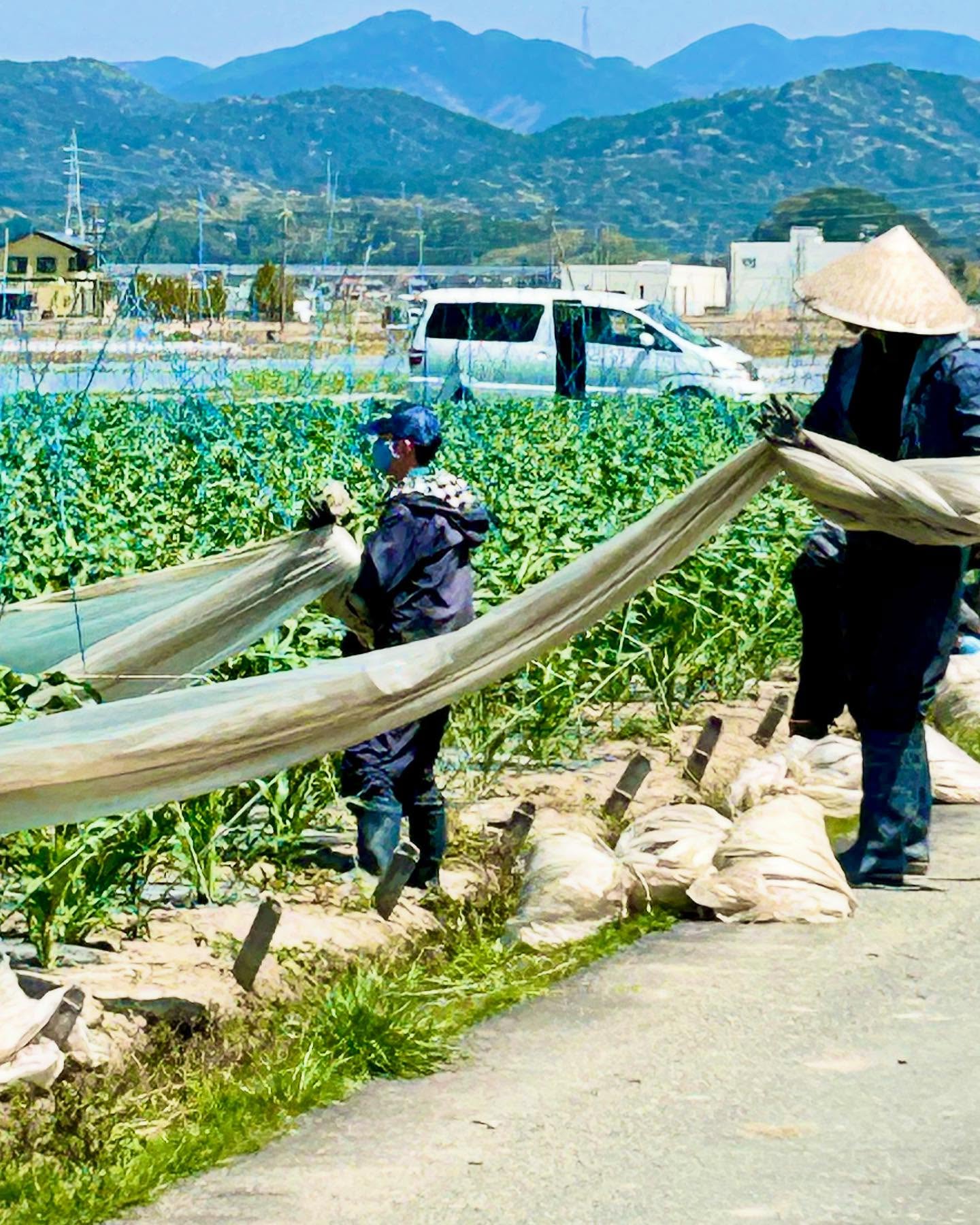 農耕と園芸 2023年春号 | 株式会社誠文堂新光社