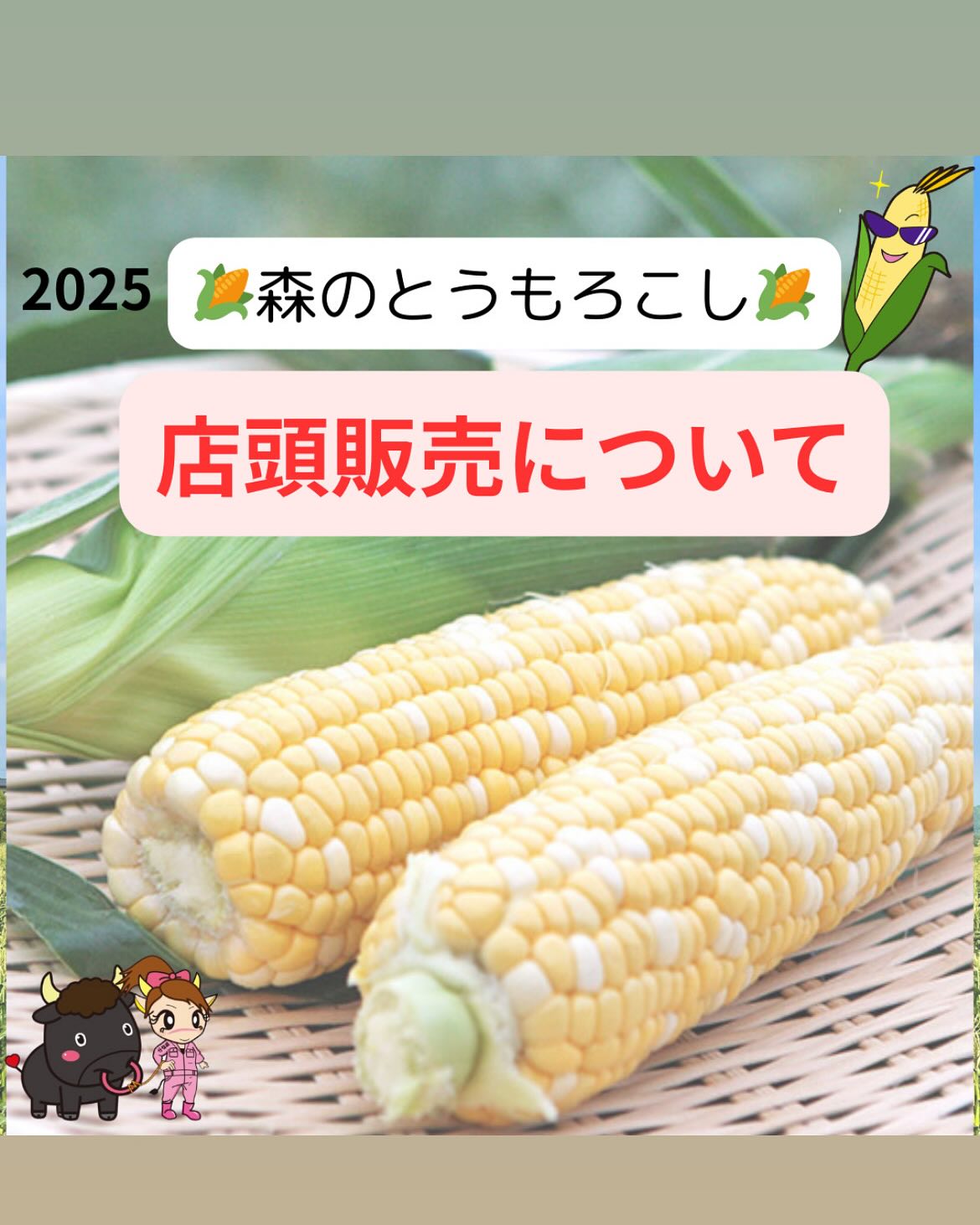 遠州森町 鈴木農園 - とうもろこし出荷量 静岡県下No.1