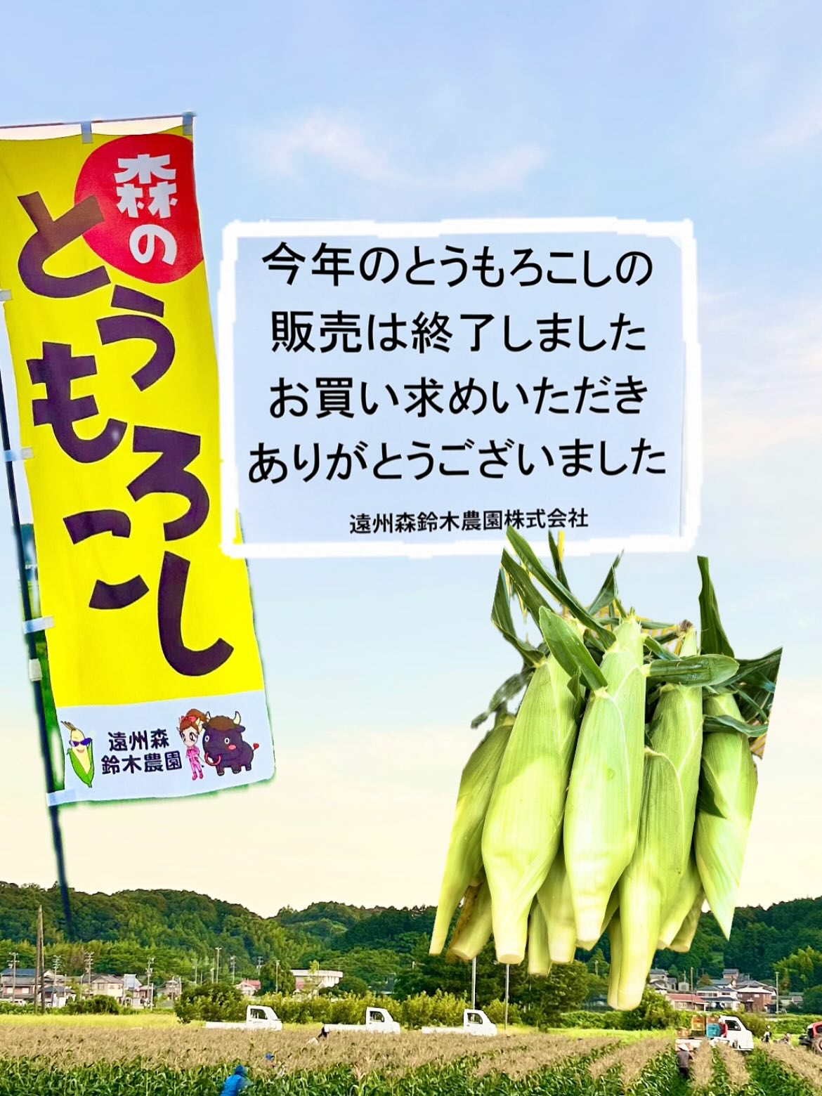 遠州森町 鈴木農園 - とうもろこし出荷量 静岡県下No.1