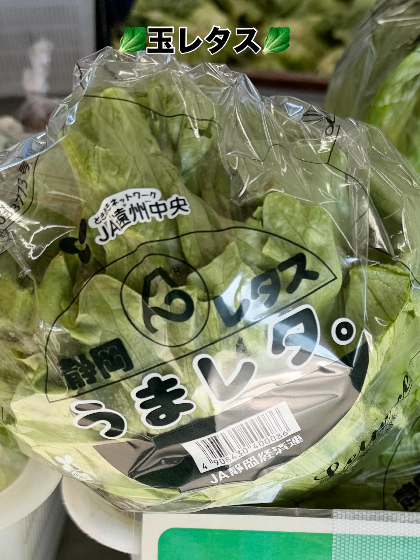 遠州森町 鈴木農園 - とうもろこし出荷量 静岡県下No.1